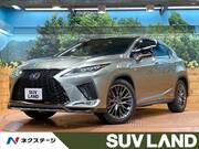 2021 LEXUS RX