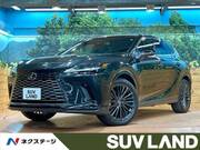 2023 LEXUS RX