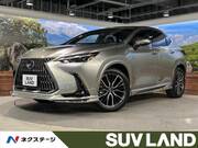 2025 LEXUS NX