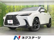 2025 LEXUS NX