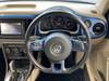 VOLKSWAGEN THE BEETLE