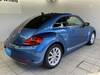VOLKSWAGEN THE BEETLE