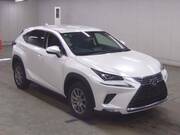 2019 LEXUS NX