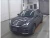 LEXUS OTHER