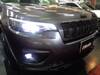 OTHER OTHER
