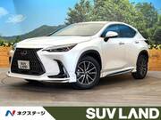 2025 LEXUS NX