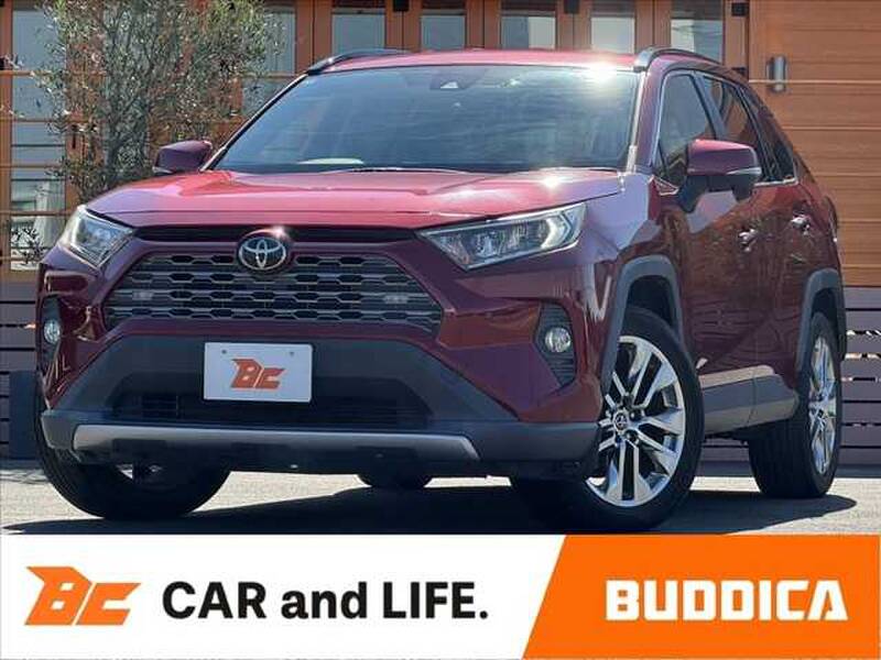 2019 TOYOTA RAV4 for sale