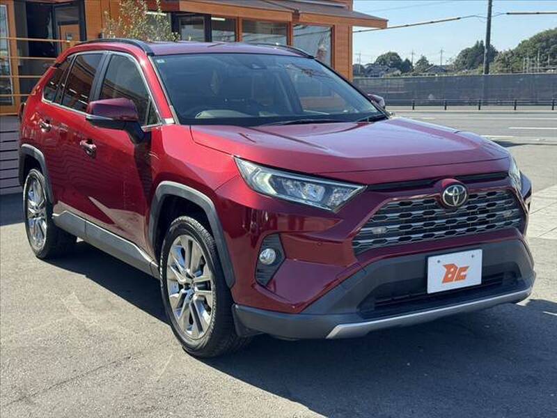 2019 TOYOTA RAV4 for sale - photo 9
