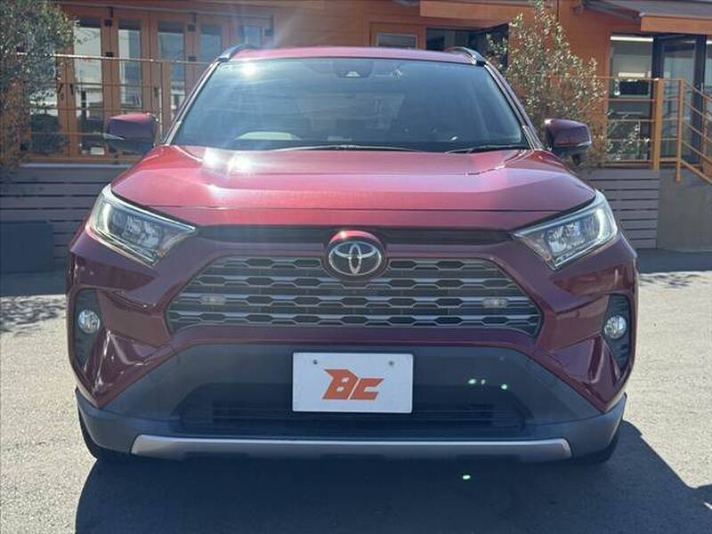 2019 TOYOTA RAV4 for sale - photo 10