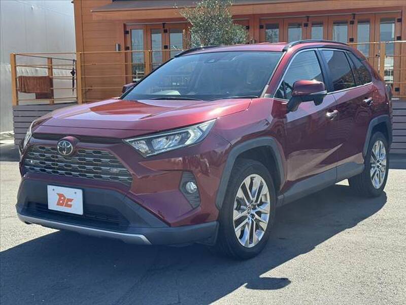 2019 TOYOTA RAV4 for sale - photo 11