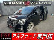 2017 TOYOTA ALPHARD