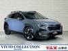 SUBARU OTHER