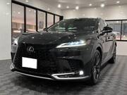 2024 LEXUS RX