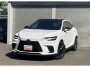 2025 LEXUS RX