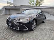 2019 LEXUS ES