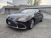 2019 LEXUS ES