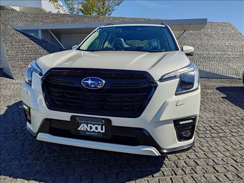 2022 SUBARU FORESTER for sale - photo 9