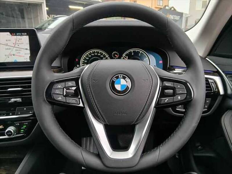2017 BMW 5 SERIES for sale - photo 11