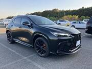 2025 LEXUS NX