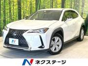 2019 LEXUS UX