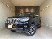 2019 TOYOTA LAND CRUISER PRADO