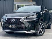 2014 LEXUS NX