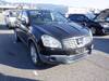 NISSAN DUALIS