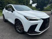 2025 LEXUS NX