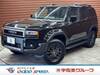 TOYOTA LANDCRUISER 250