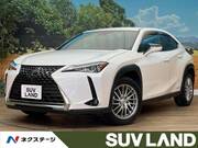 2020 LEXUS UX