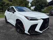 2025 LEXUS NX