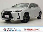 2019 LEXUS UX
