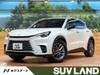 LEXUS OTHER