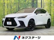 2024 LEXUS NX
