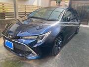 2019 TOYOTA COROLLA SPACIO