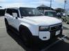 TOYOTA LANDCRUISER 250