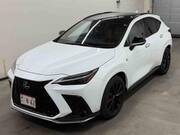 2025 LEXUS NX