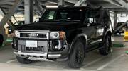 2025 TOYOTA LANDCRUISER 250