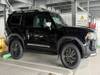 TOYOTA LANDCRUISER 250
