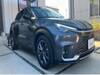 LEXUS OTHER