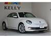 VOLKSWAGEN THE BEETLE