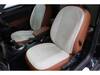 VOLKSWAGEN THE BEETLE
