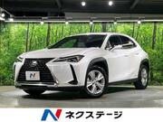 2019 LEXUS UX