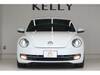 VOLKSWAGEN THE BEETLE