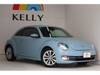 VOLKSWAGEN THE BEETLE