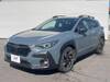 SUBARU OTHER