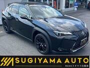 2021 LEXUS UX