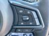 SUBARU OTHER