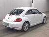 VOLKSWAGEN THE BEETLE