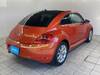 VOLKSWAGEN THE BEETLE